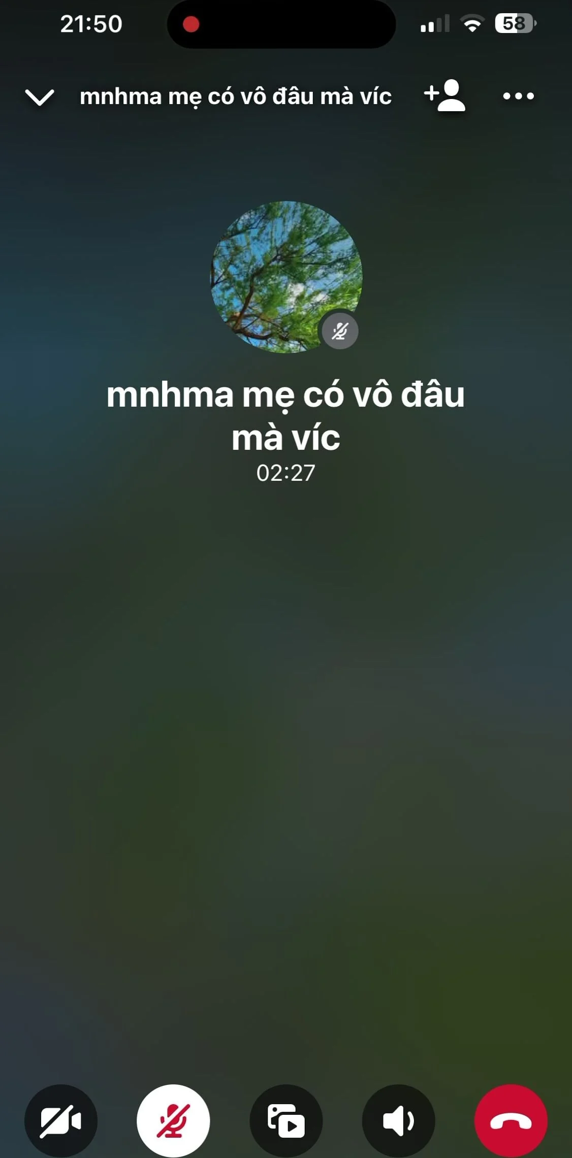 P2 cho ah em nhỏ 2k4 ngây thơ nhma tỉnh